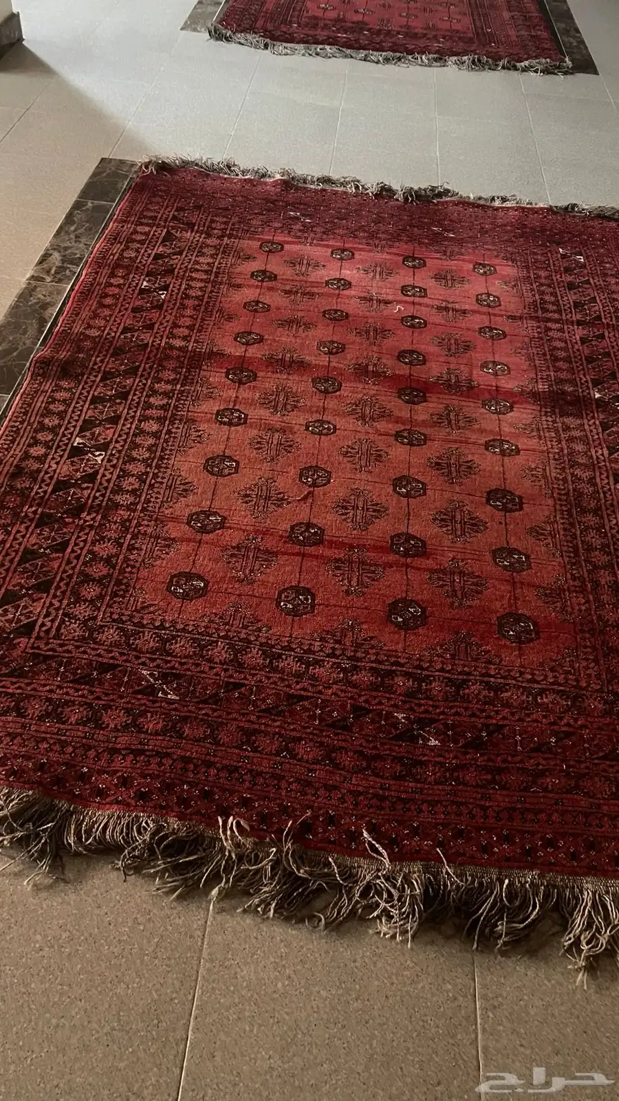 سجاد ايراني قديم 3