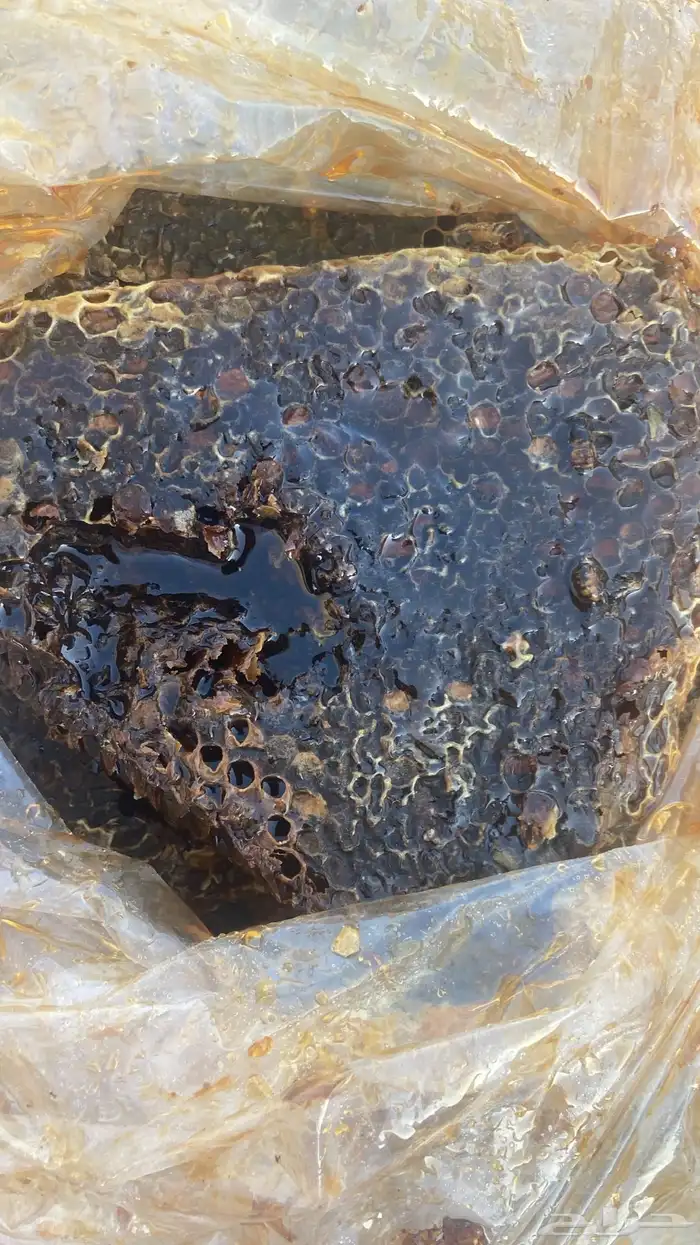 عسل جبلي حر. عسل غار 0