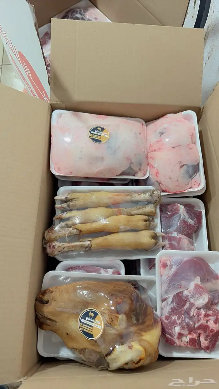 ذبايح حايل 1