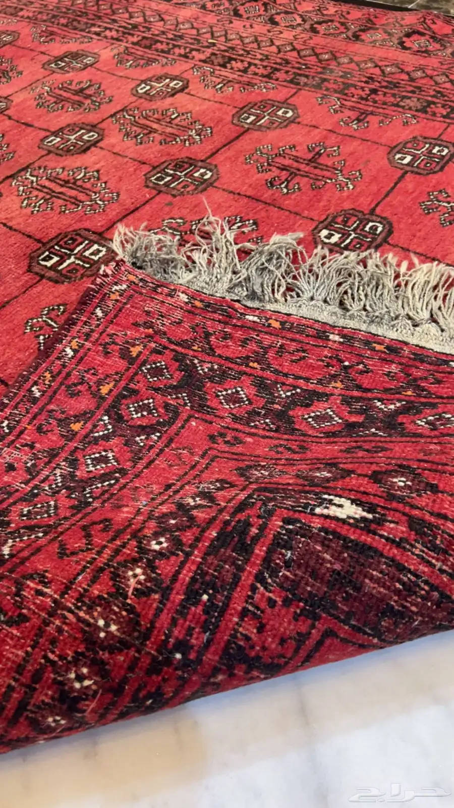 سجاد ايراني قديم 5