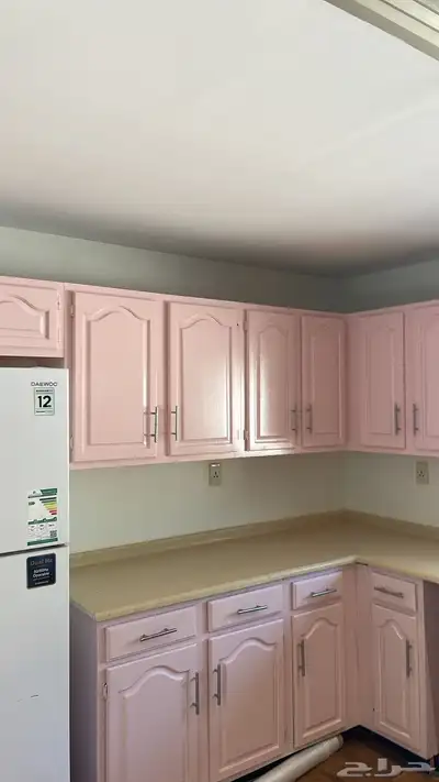 صباغ الجبيل الصناعيه 3