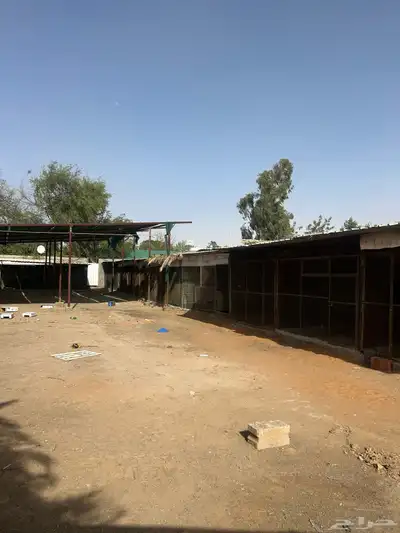 مشروع حمام للايجار 2