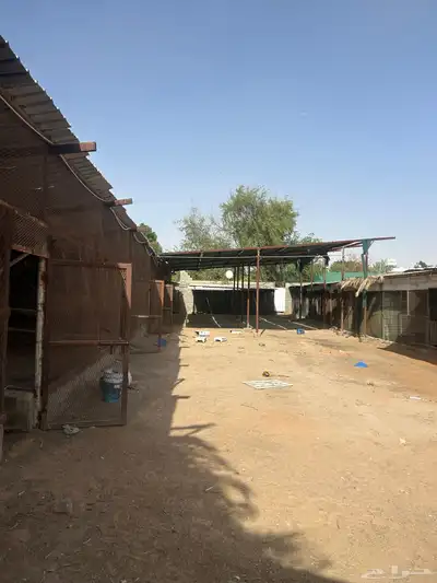 مشروع حمام للايجار 0