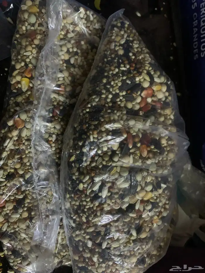منقوع للطيور 1