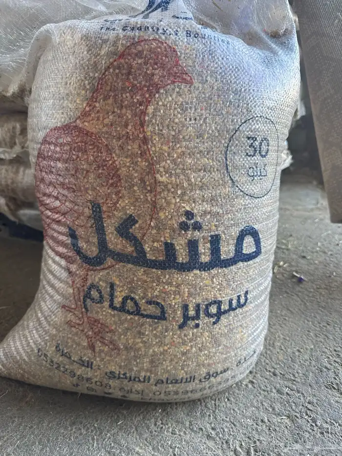 اراسكو حمام   مشكل حمام 1