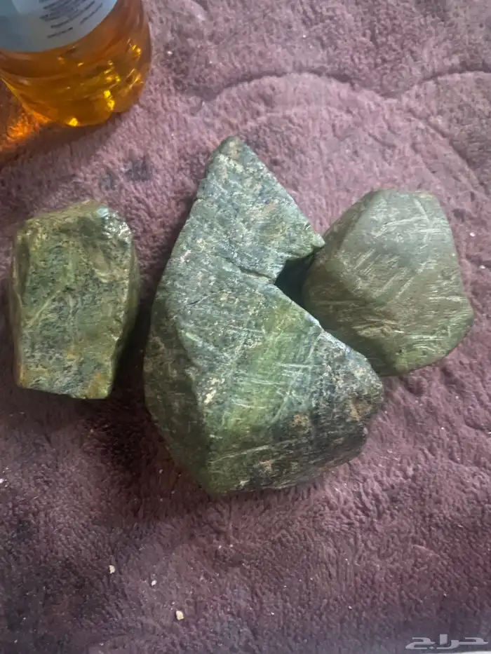بيشه 10