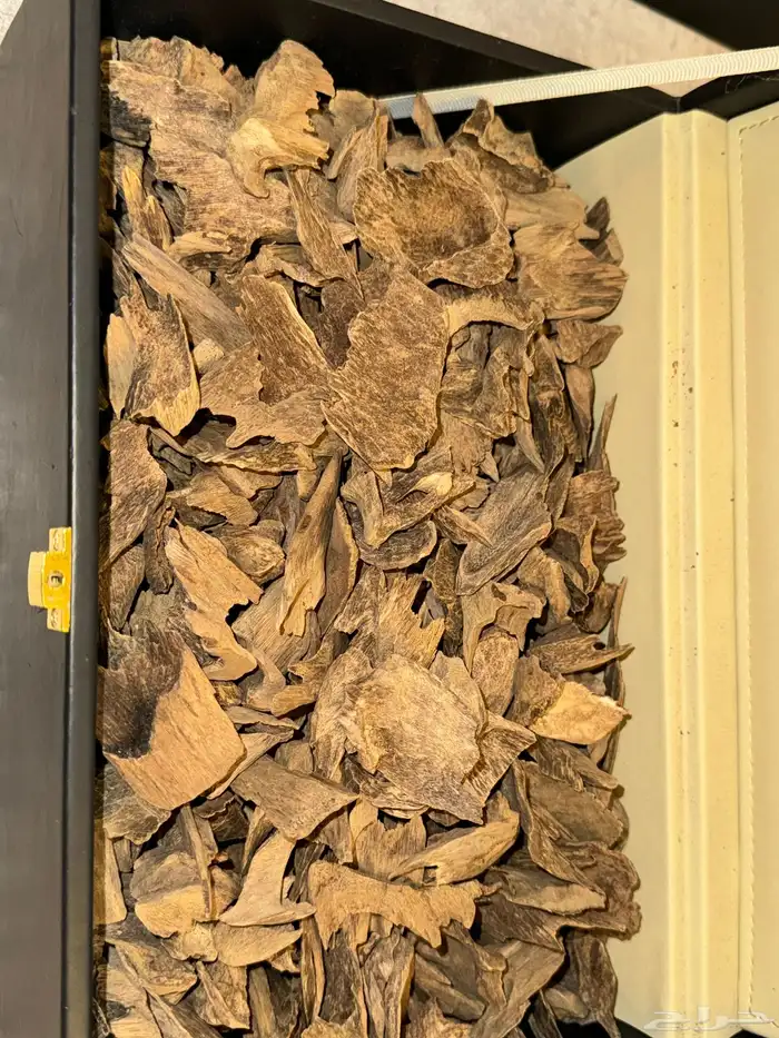 أدهان عود قديمه و معتقه الكميه جدا  قليله وعود طببعي قديم 3