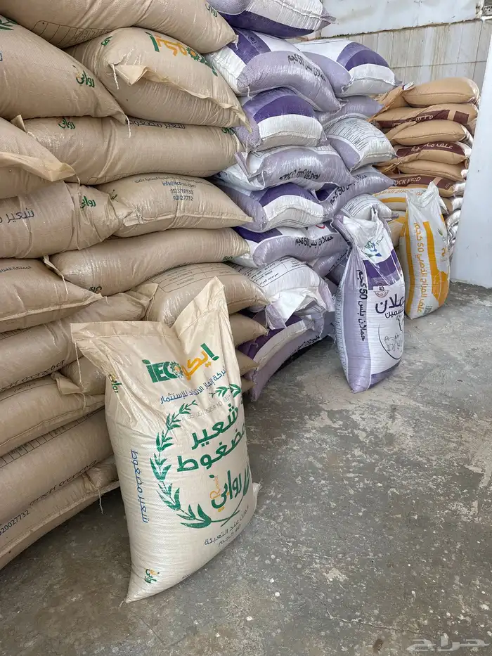 محايل عسير طريق خميس البحر سوق المواشي 3