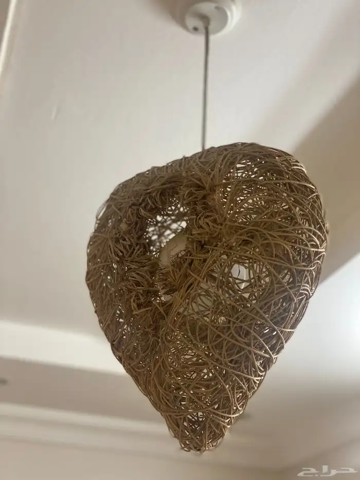 2ثريا على شكل عش عصفور 0