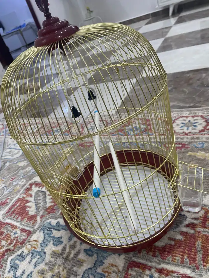 قفص طيور 2
