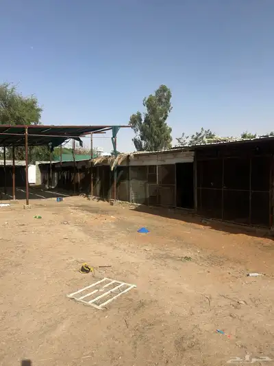 مشروع حمام للايجار 3