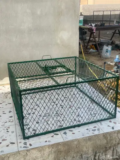 حمام مصيده 0