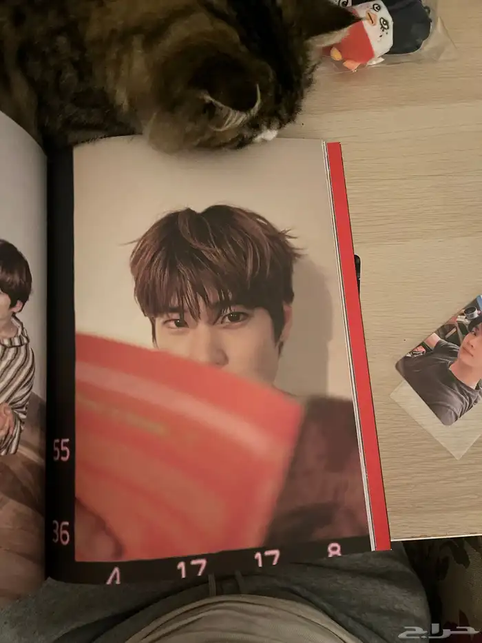 كيبوب ألبوم بيع 2