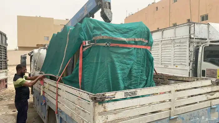 دينه ونش في المجمعة الا اي اتجاه 0