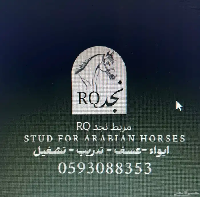 مربط نجد RQ ايواء عسف تدريب تشغيل 0