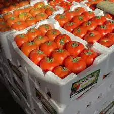 تسويق منتجات المزارعين 0