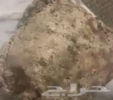 عنبر الحوت الخام 0