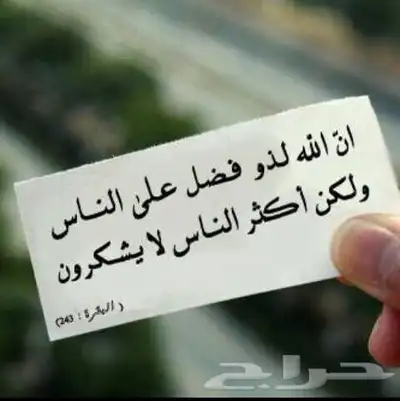 كداد من المدينة المنورة الى العلا 0