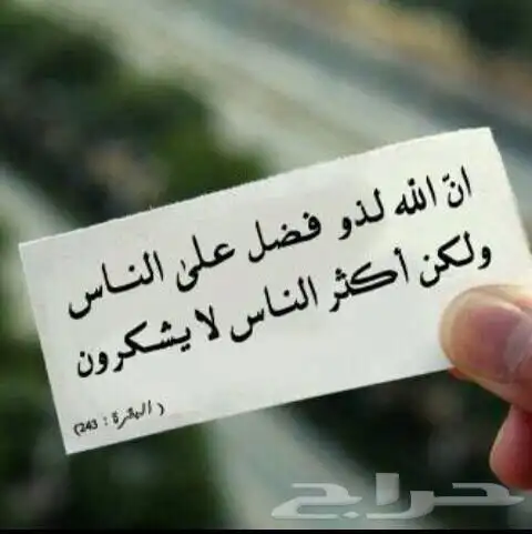كداد من المدينة المنورة الى العلا 0