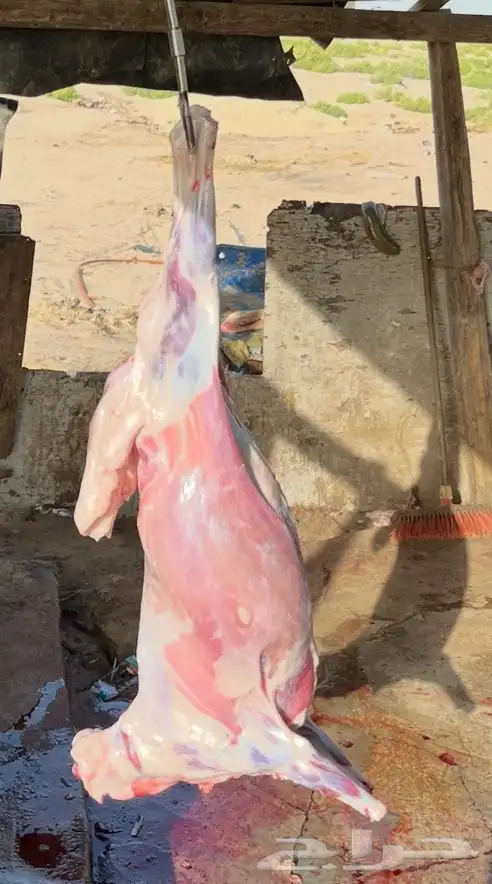 ذبايح 2
