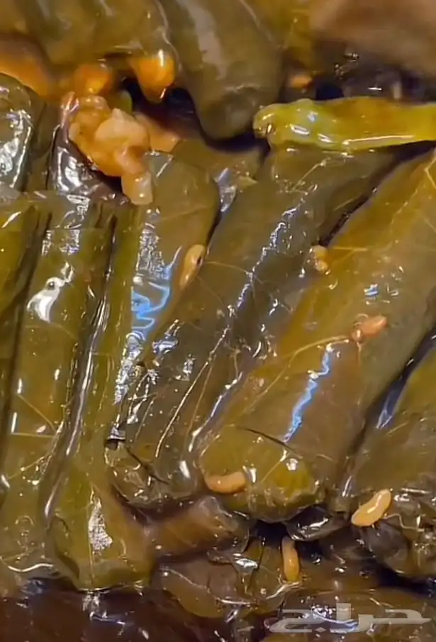 ورق عنب بدبس الرمان سبايسي وعادي 5
