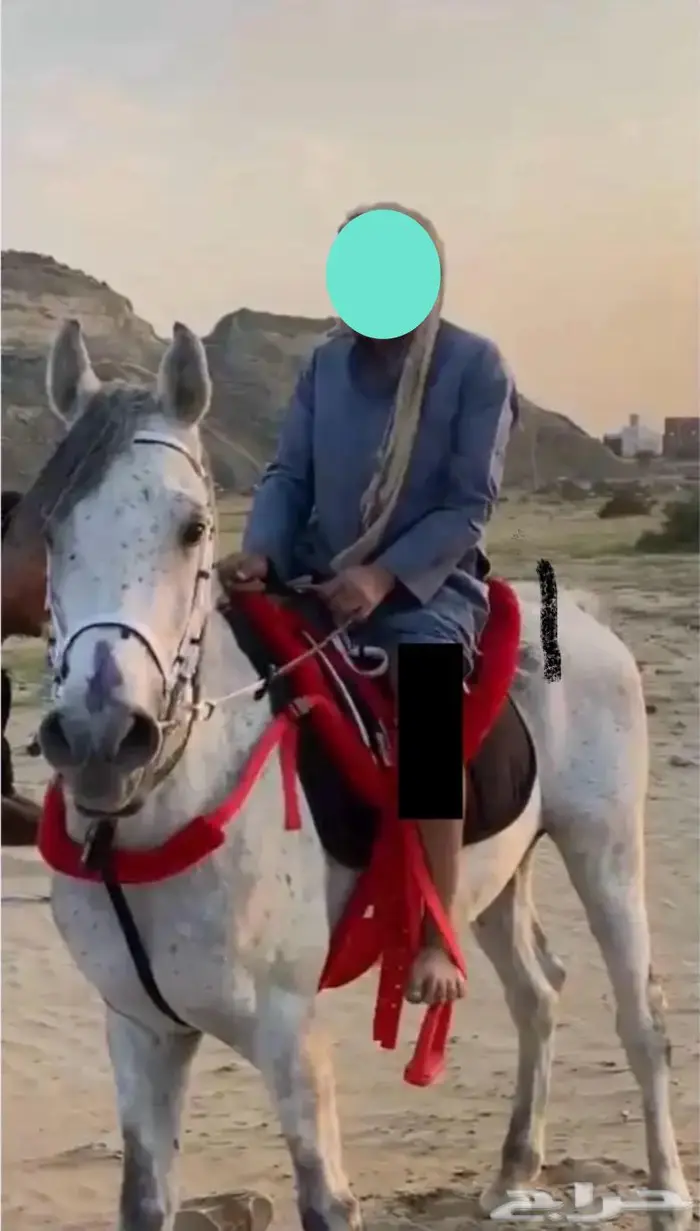 حصان و مهره 0
