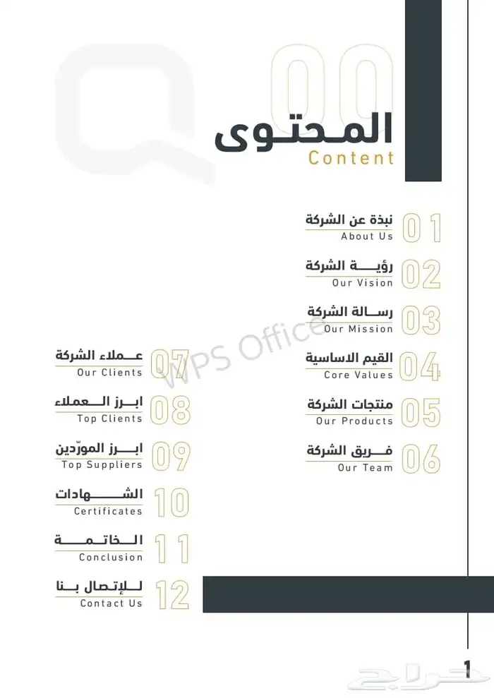 كاميرات مراقبه 11