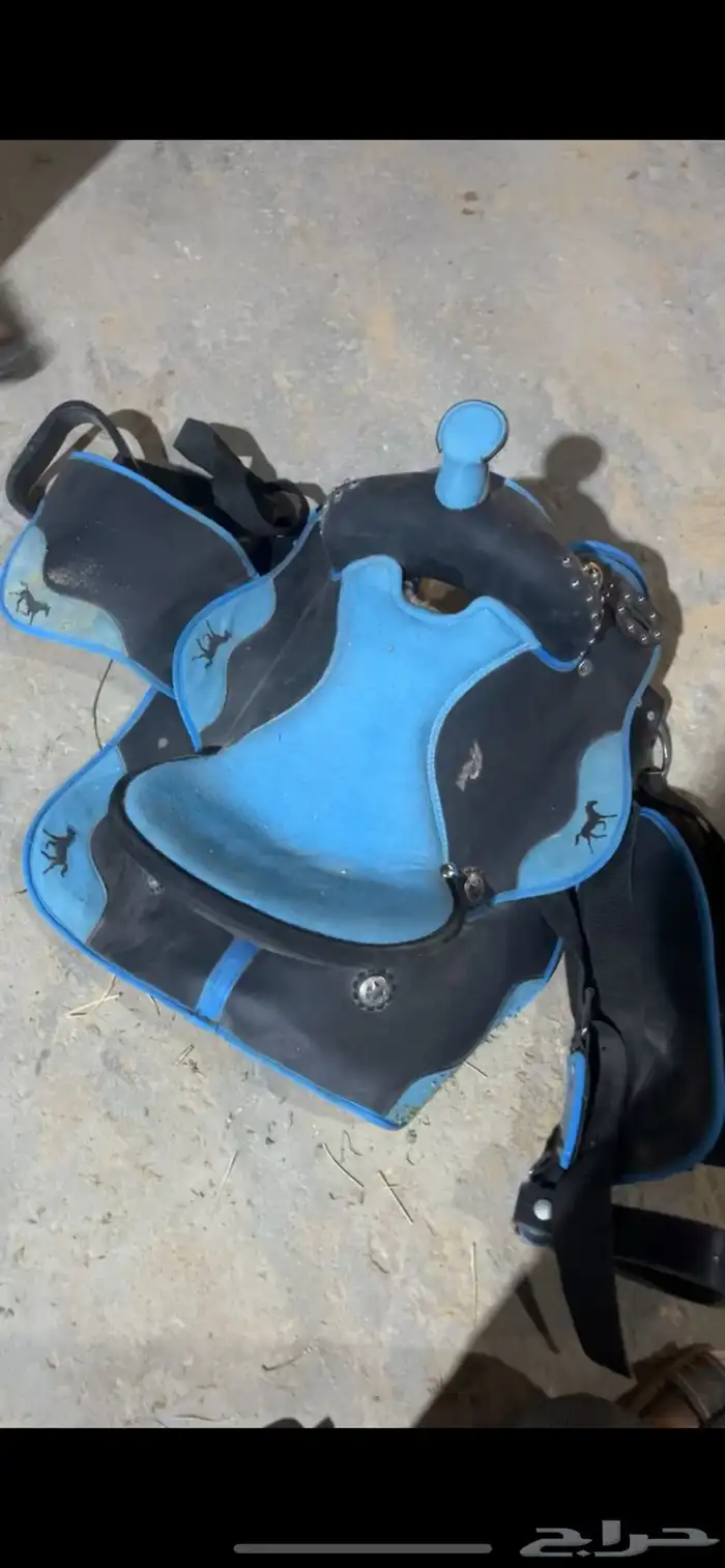 سرج خيل بوني 0