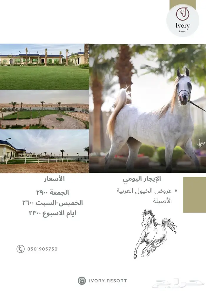 إيواء خيل ربط للإيجار الشهري ومنتجع واستراحة للايجار اليومي 0