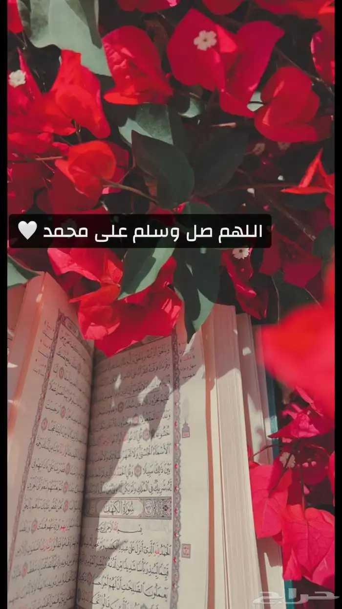 فحص السيارات وخدمات شامله 0