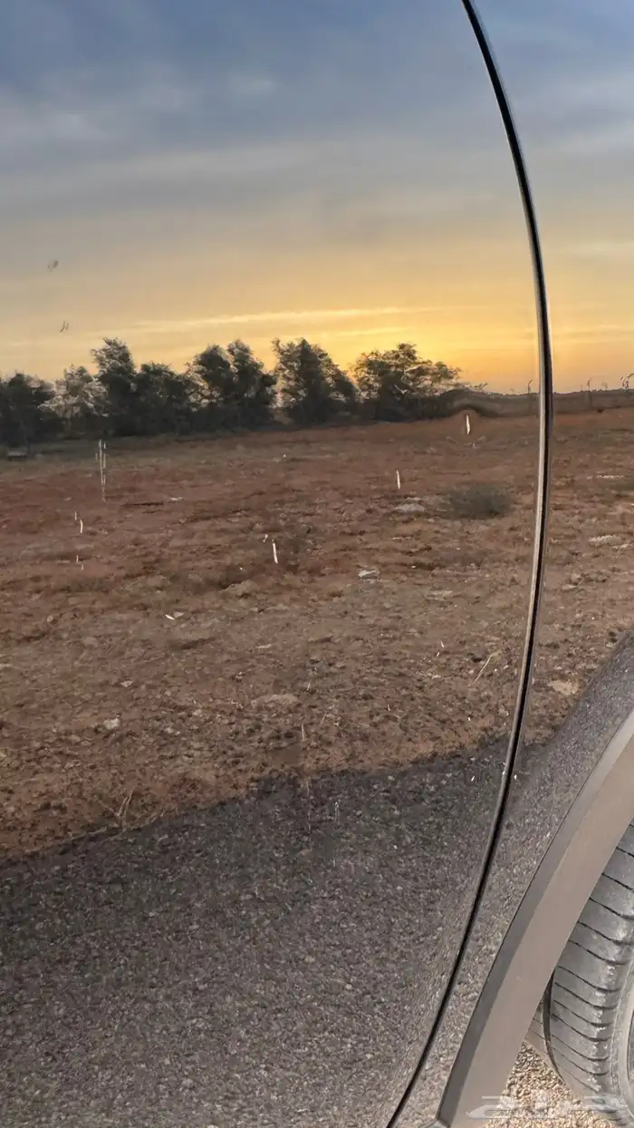 كراون وكالة (نظيف) 2023 ((للتنازل)بدون مقابل 7