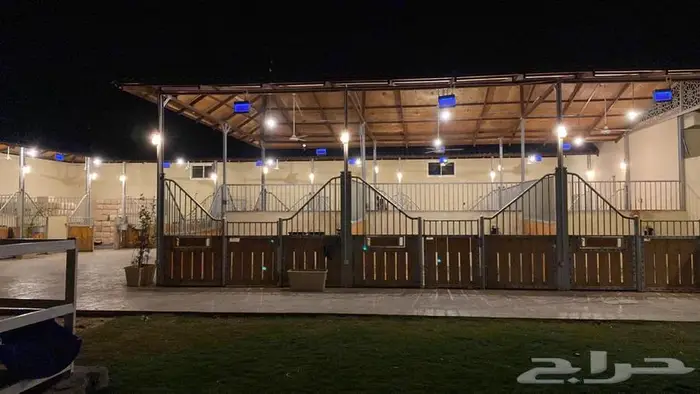 إيواء خيل ربط للإيجار الشهري ومنتجع واستراحة للايجار اليومي 1