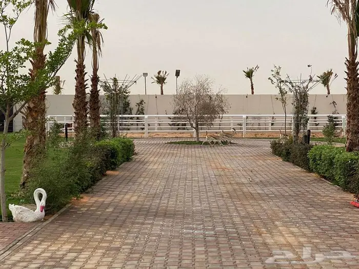 إيواء خيل ربط للإيجار الشهري ومنتجع واستراحة للايجار اليومي 2