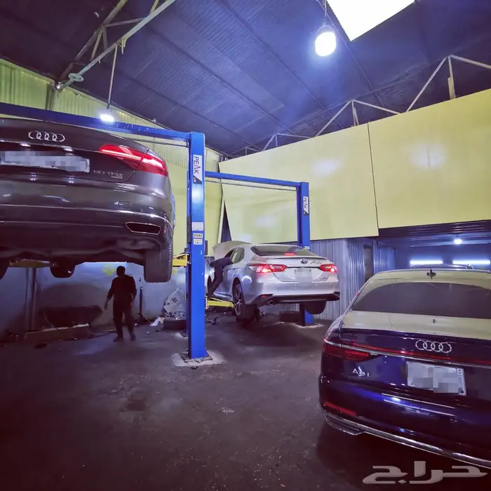 دودة دركسيون كهربائية 4