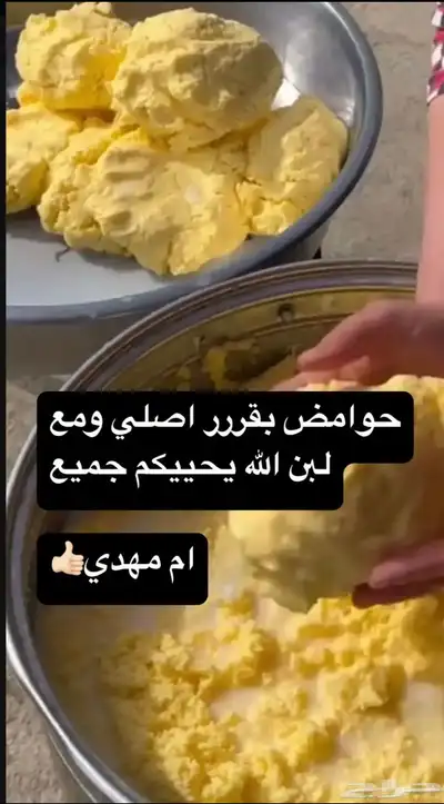 زبده بقر بلدي مضمون 17