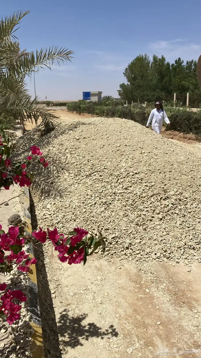 ايجار بوكلين توريد صبيز  بحص  رمل ابيض 18