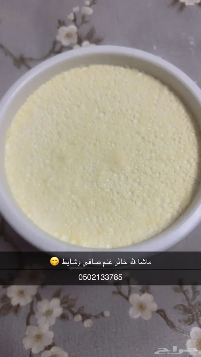 خاثر غنم صافي وشايط   لتواصل 0