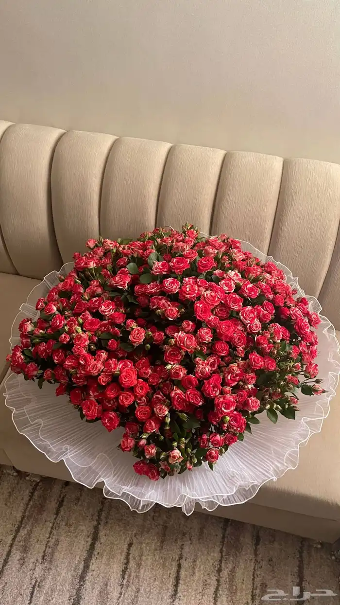 ورد وهدايا خميس مشيط ابها احد رفيدة توصيل هدايا ورد الجنوب 14