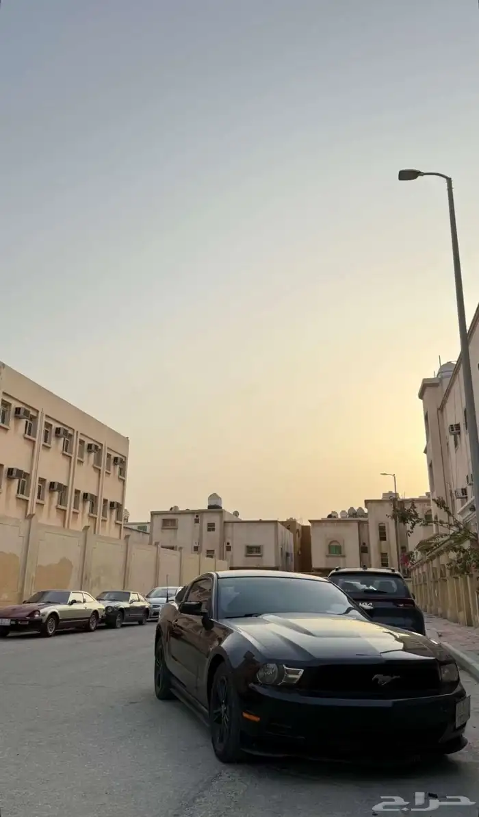 تأجير سيارات كلاسيكية للعرض والمناسبات 26