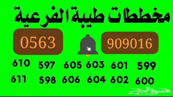 مكتب عقار في طيبة الفرعية الأجزاء الندى الوداد المجد البيان 3