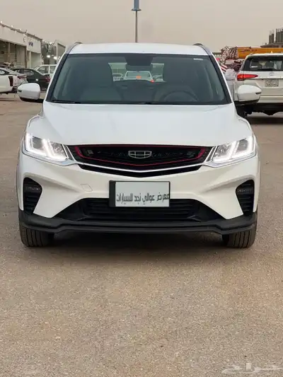 جيلي كولراي 2023 0
