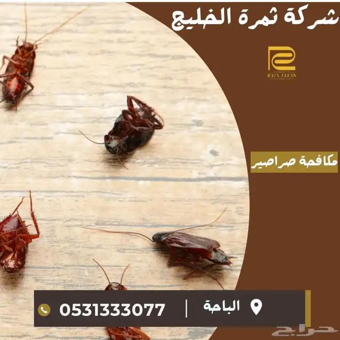 شركة تنظيف منازل تنظيف وعزل خزانات تنظيف مجالس رش مبيدات 40