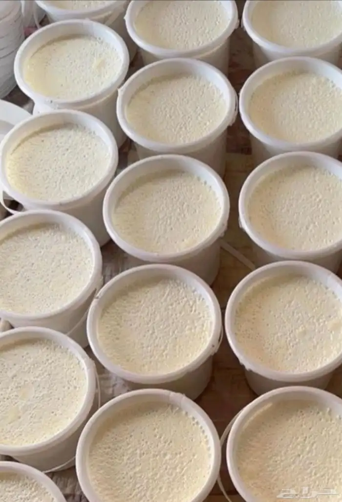 خاثر غنم صافي وشايط   لتواصل 1