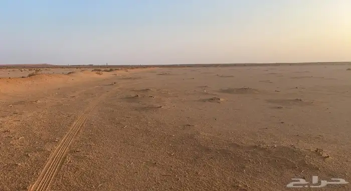 ارض زراعيه بصك اكتروني حماده الفروثى 0