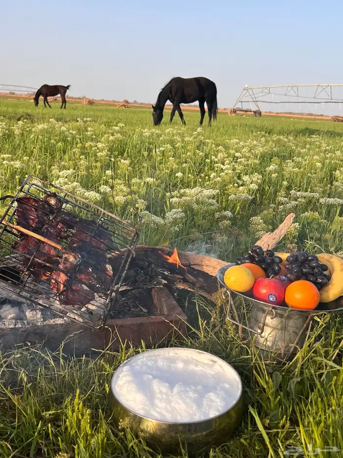 منتجع وشاليه واستراحه 18