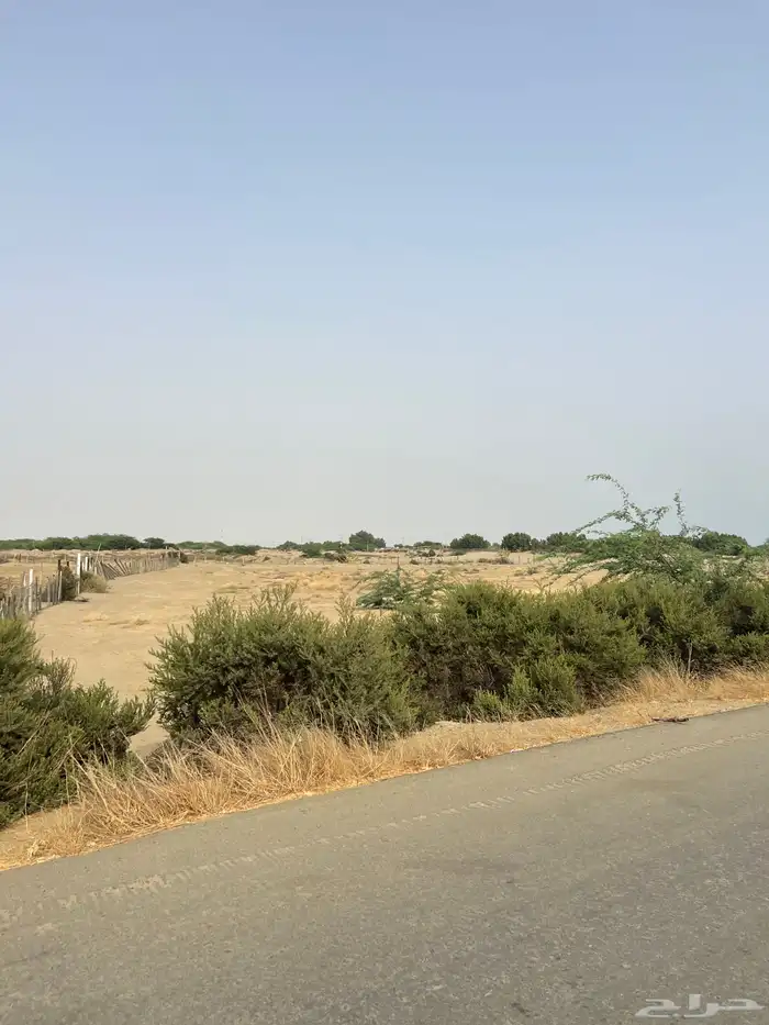 الارض الايجار 6