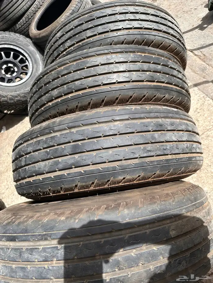 جنوط برايد مع كفرات شاهين 1