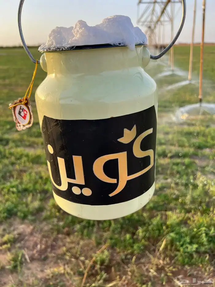 منتجع وشاليه واستراحه 10