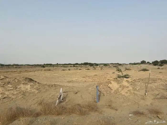 الارض الايجار 7