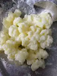 فطر هندي كفير 1